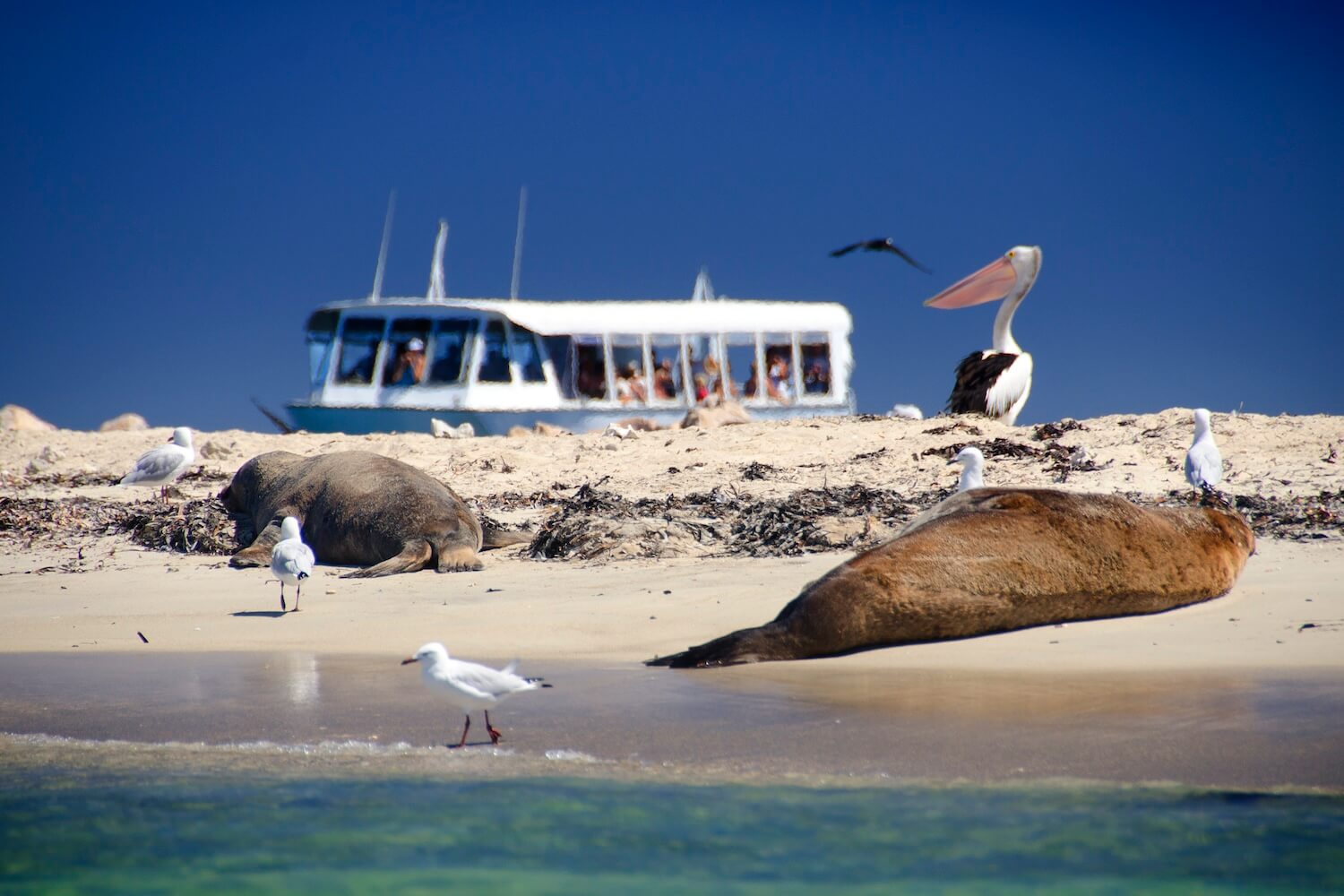 Margaret River Tour