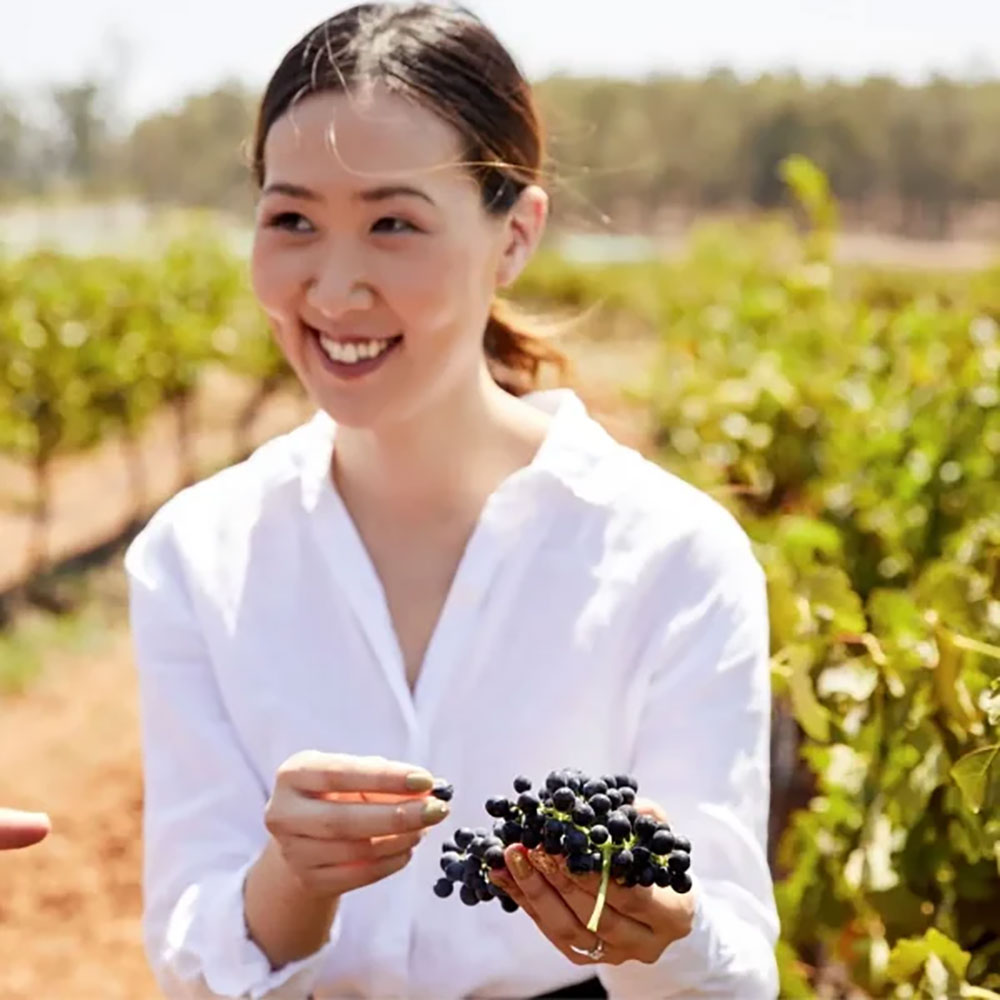 Hunter Valley Wine Tours