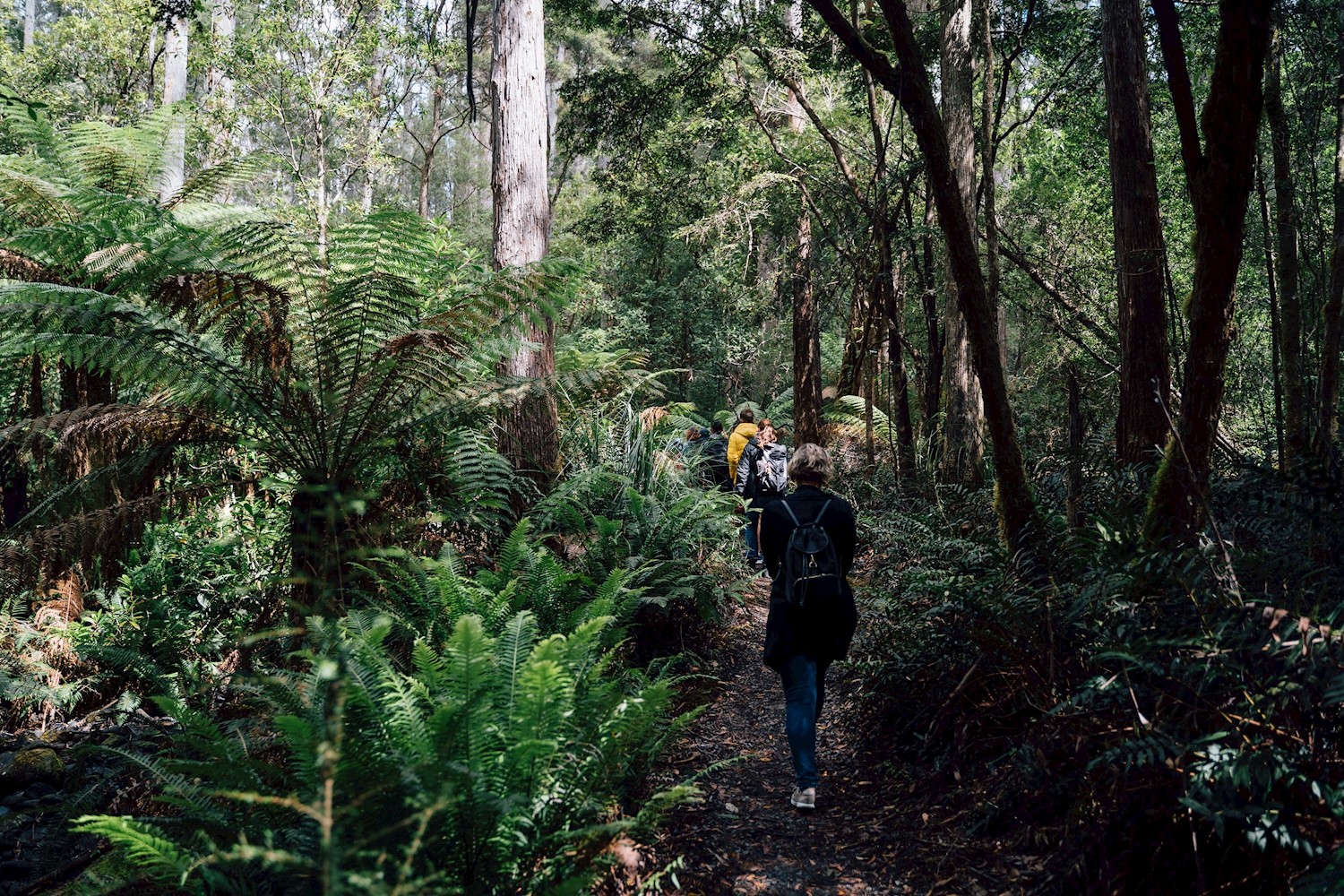 2 Day Best of Tasmania Tour