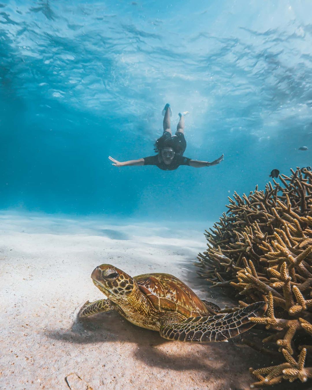 4 Day Perth to Monkey Mia