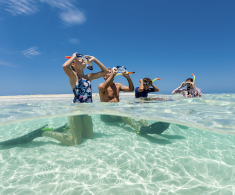 16 Days Sydney to Cairns Tour