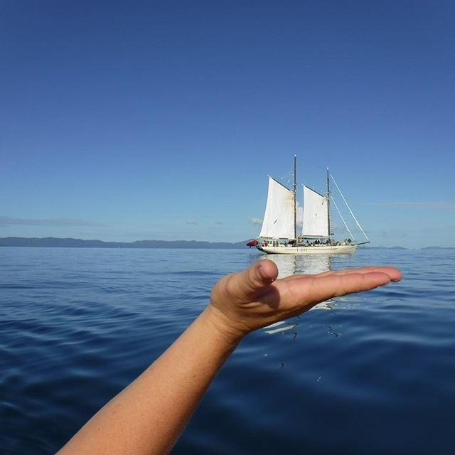 14 Days Sydney to Cairns Budget