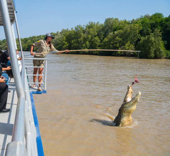 1 Day Kakadu Tour