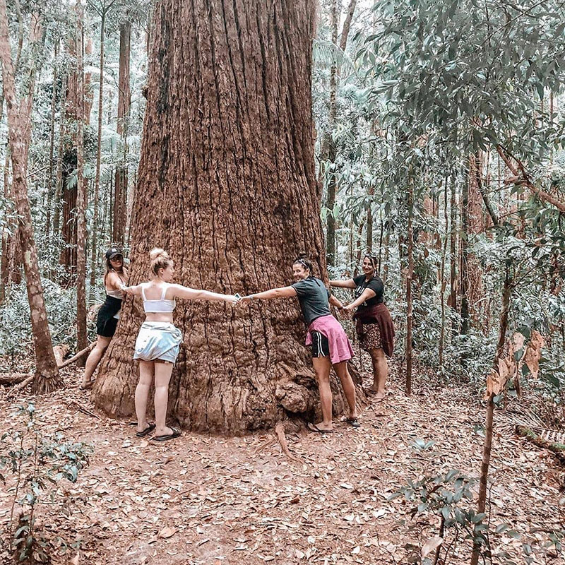 72099987_161244925071097_3217918750649746886_n.jpg 72099987_161244925071097_3217918750649746886_n.jpg