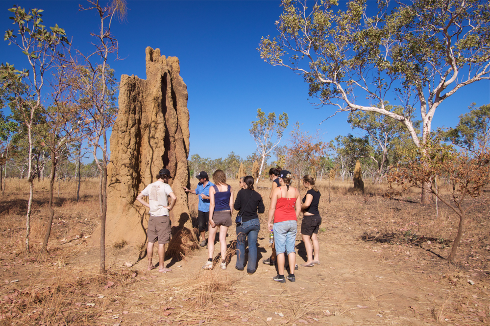 Kakadu Tour Pics (44 of 110).jpg