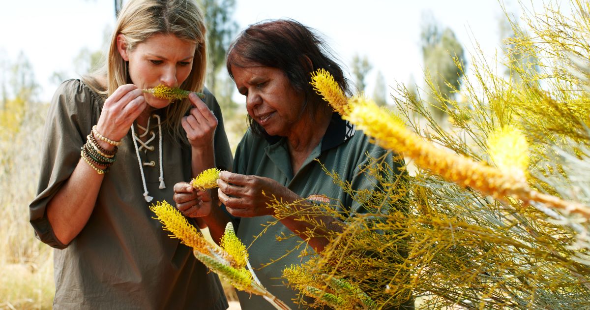 Learning_about_traditional_medicinal_plants_on_a_guided_tour_at_Uluru.jpeg