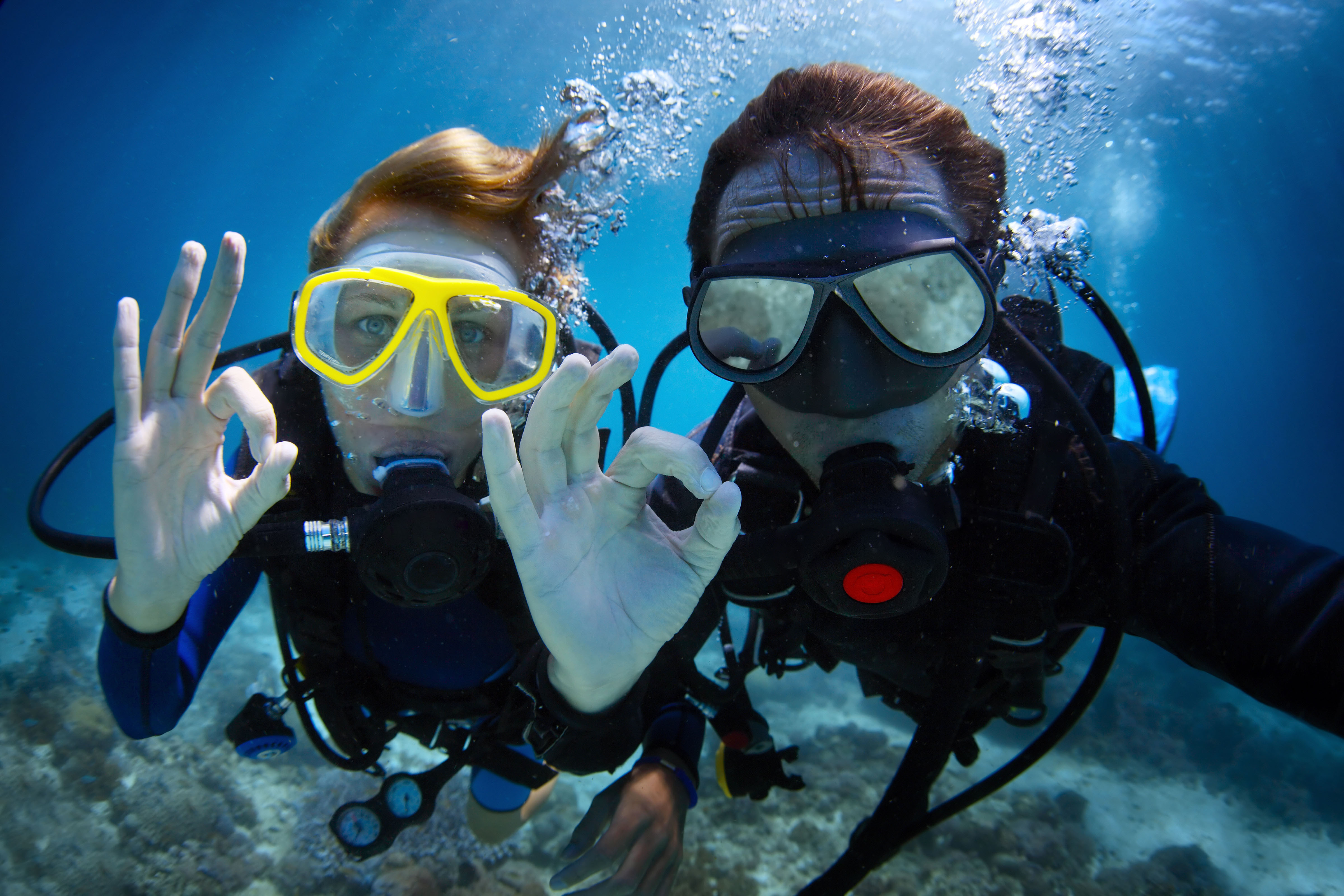 NH - COUPLE DIVING.jpg