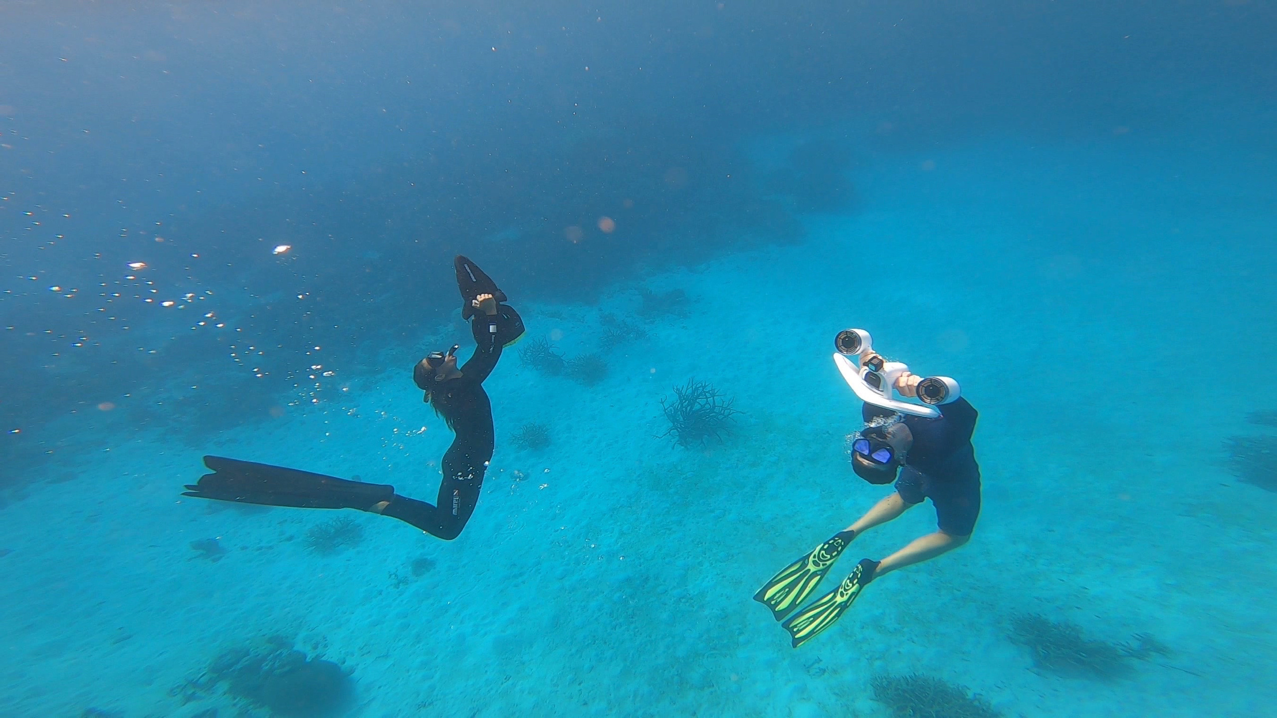 both sea scooters.JPG