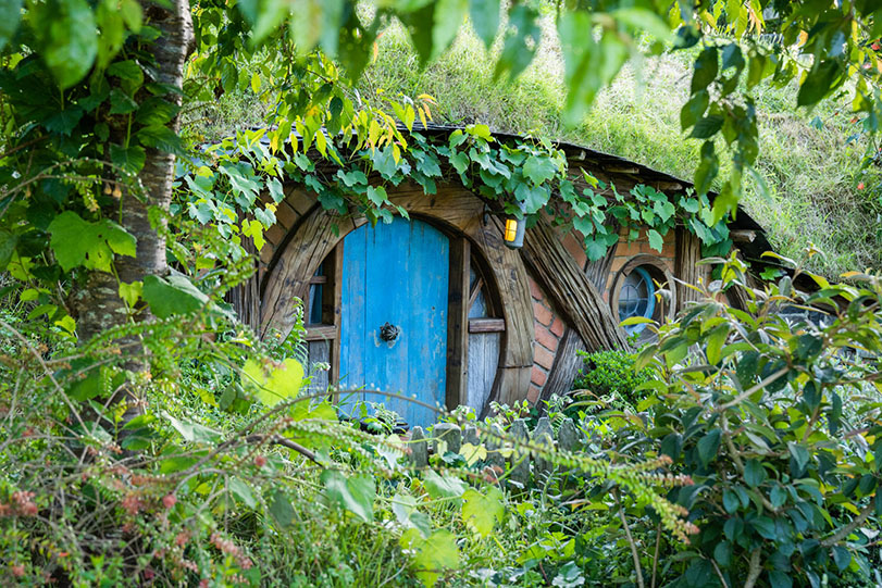 hobbiton-tour86.jpg