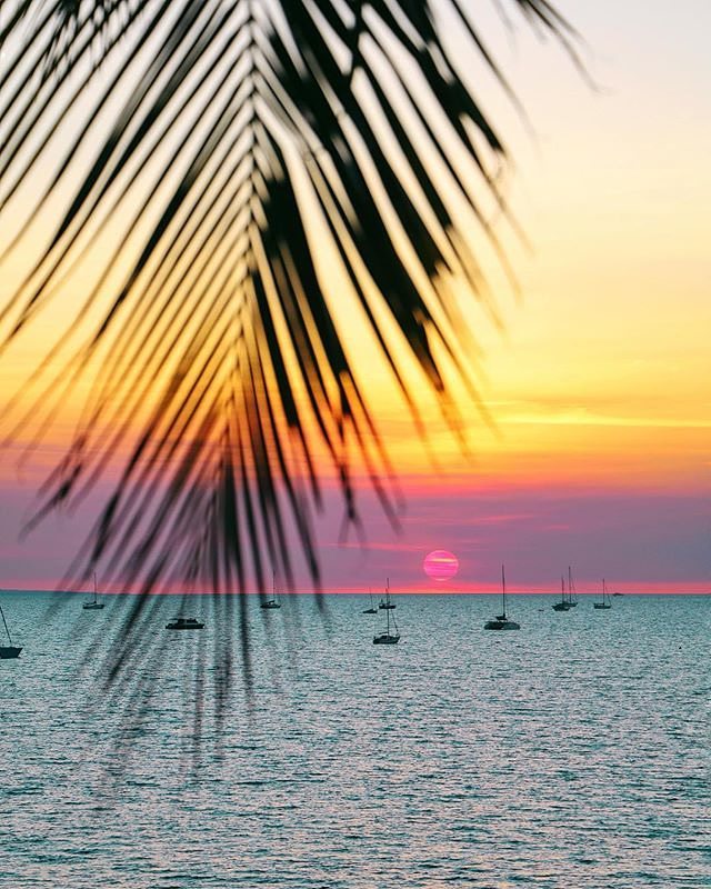 ntaustralia_20688490_327448281047626_444407803784724480_n_2.jpg ntaustralia_20688490_327448281047626_444407803784724480_n_2.jpg