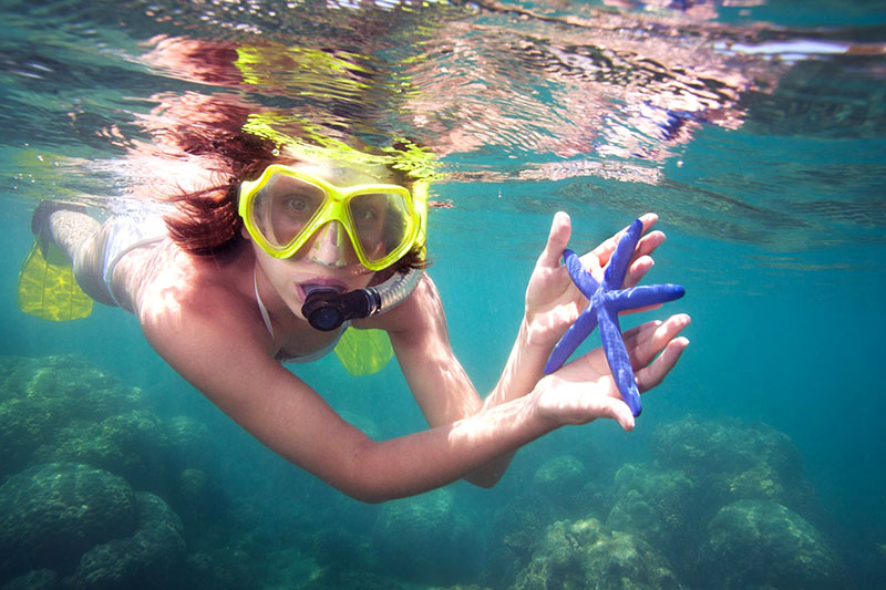 starfish-snorkeling.jpg starfish-snorkeling.jpg