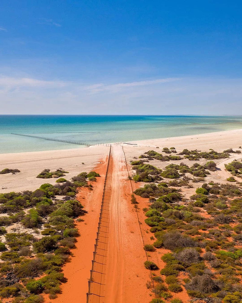 westernaustralia_59946468_854002438292782_6070492767221504678_n.jpg