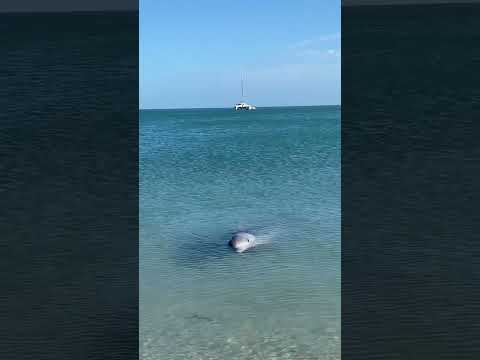 Perth to Exmouth, Karijini & Return