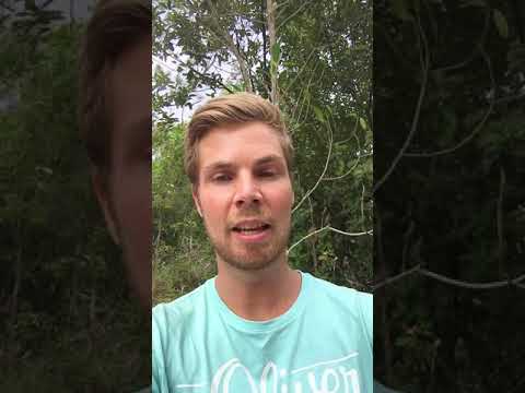 Tasmania Tour Review - Lost In Australia