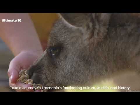 Ultimate 10 day tour of Tasmania