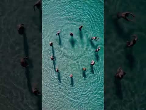 Explore Fraser Island with K'Gari Tours