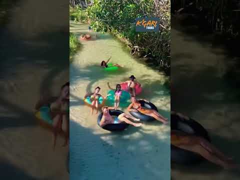 Explore Fraser Island with K'Gari Tours