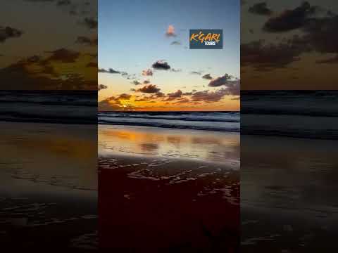 Explore Fraser Island with K'Gari Tours