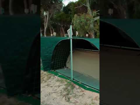 Explore Fraser Island with K'Gari Tours