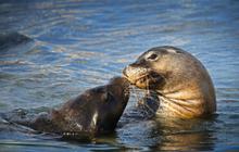 Adventure-Tours-Margaret-River-and-Wildife-Adventure17-1.jpg
