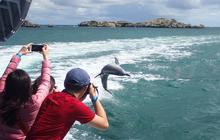 Adventure-Tours-Margaret-River-and-Wildife-Adventure21-1.jpg