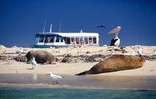Adventure-Tours-Margaret-River-and-Wildife-Adventure22-1.jpg