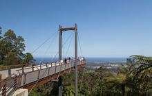 Autopia-Via-Travel---Coffs-Harbour-Sealy-Lookout-Forest-Sky-Pier-Niigi-Niigi-DNSW-114902-2.jpg