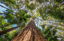Autopia-Via-Travel---Fraser-Coast-Pile-Valley-TEQ-Mark-Fitz-139902-139902-2.jpg