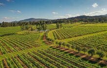 Autopia-Via-Travel---Hunter-Valley-Wine-Region-1063557-133.jpg
