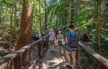 Autopia-Via-Travel---Kgari-Fraser-Island-TEQ-Mark-Fitz-139870-139870-2.jpg
