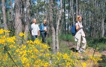 australianpinnacletours_1757138452_3715469071706358983_1737963415.jpg