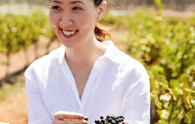 hunter-valley-wine-tour-packages-1-qcaw8qxi7h993w7qxqzs3vstsnignzh8xy6bs42f74.jpg