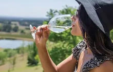 hunters-valley-wine-tour-1-qcaw9438v5r9mfomswok2sha41plnqxhnrb4hziws0.jpg