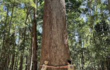 Screenshot 2025-11-04 at 11.48.45 am.png