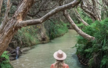 Screenshot 2025-11-04 at 11.48.54 am.png