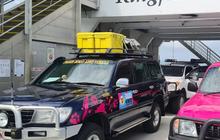 fraser_dingo_1759803560_3737825533364482965_1391324557 (1).jpg