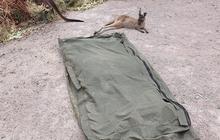 10-day-adelaide-to-perth-5.jpg