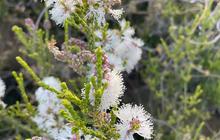 lumineer-adventure-tours-3.jpg