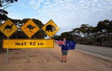 on-australian-day.jpg