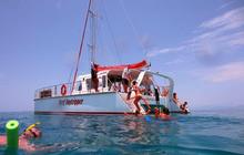reef-daytripper.jpg