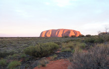 20110123-untitled shoot-0835_0.jpg
