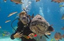 Great-Barrier-Reef-Main-2_0.jpg