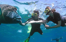 Great-Barrier-Reef-Snorkelling_0.jpg
