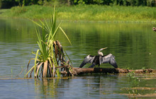 Kakadu Tour Pics (9 of 110).jpg