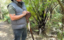 New-zealand107.jpg