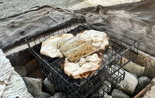 New-zealand121.jpg