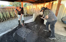 New-zealand125.jpg