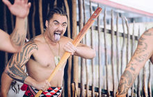 New-zealand18.jpg