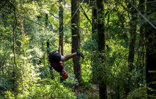 New-zealand2.jpg