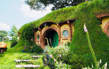 New-zealand24.jpg